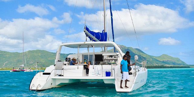 2hour exclusive catamaran cruise with dolphins encounter (2)